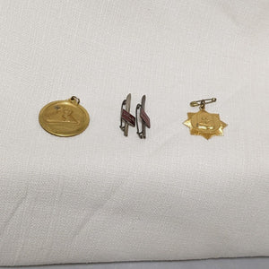 Set of Vintage Skiing Medal Medallions and Ski Pins