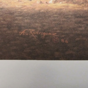 A. Rodriguez signature