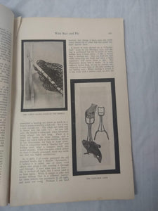 Original Marbles Clincher Gaff Fish Grabber and February 1913 Outer's Book