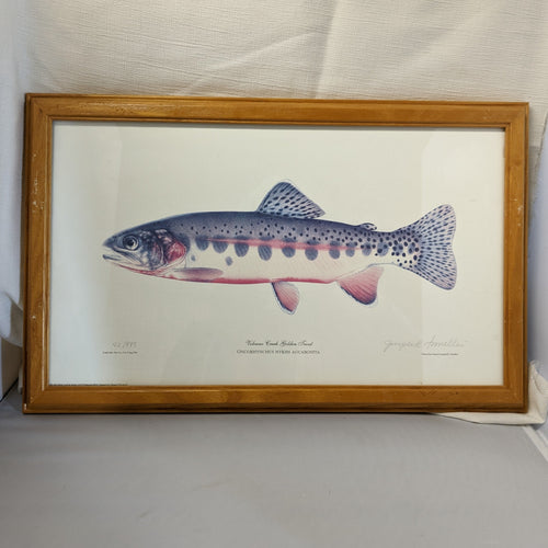 Trout print in frame